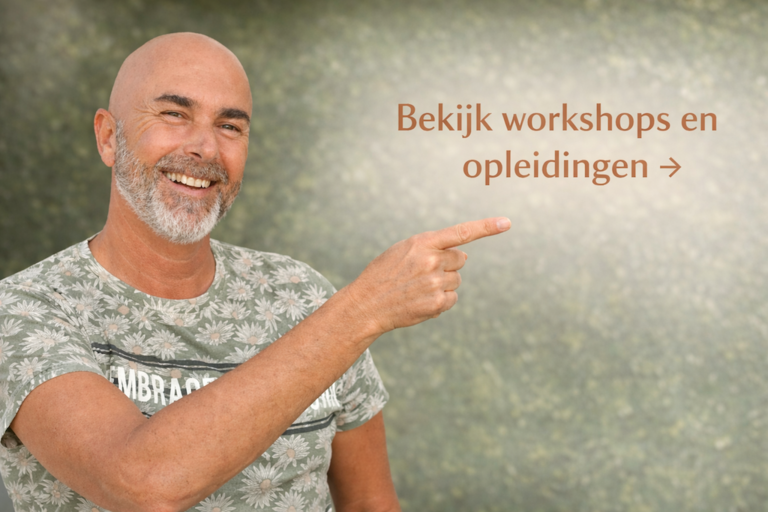 HSP opleiding en workshops.png